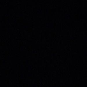 Meet your Posher, Curtis